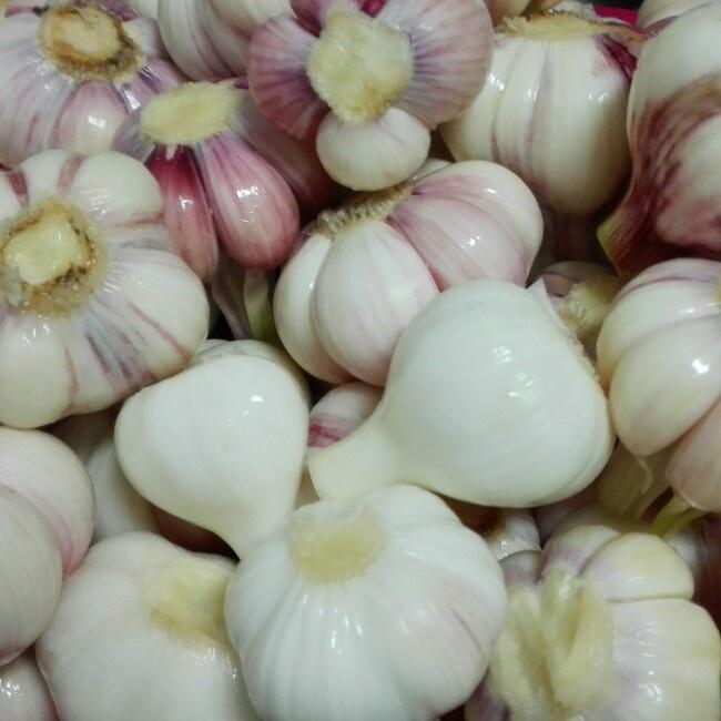 烤箱 孜然鸡翅的做法:打造家庭美食新体验